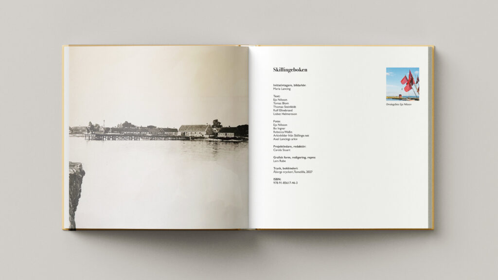 inledning skillingeboken